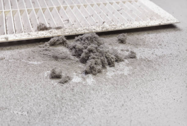 Air Duct Mold Removal in Paincourtville, LA