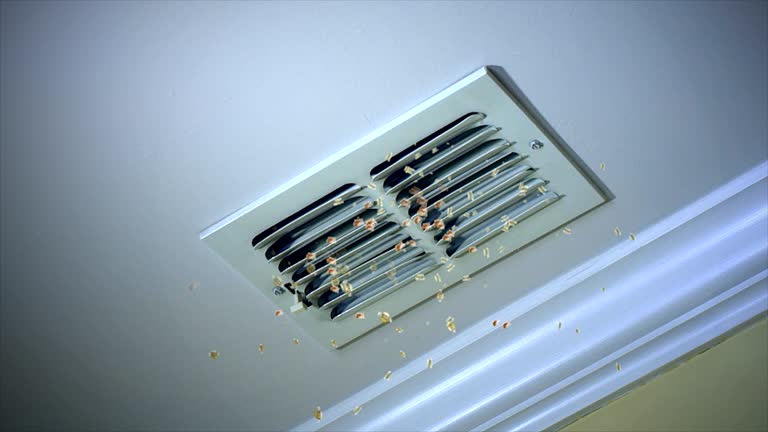 Best Air Duct Mold Removal  in Paincourtville, LA