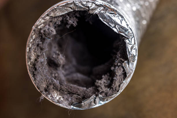 Best Best Air Duct Cleaning Company  in Paincourtville, LA